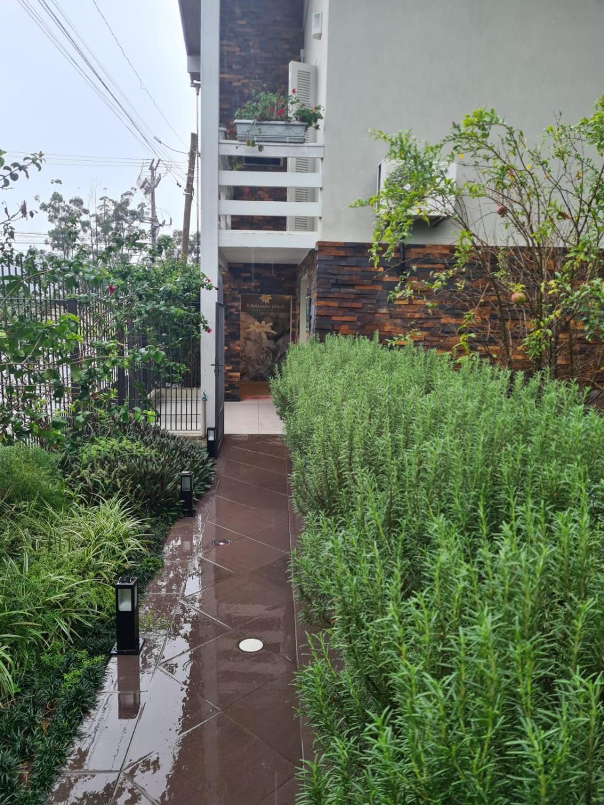 Edelweiss Haus Homestay Feliz